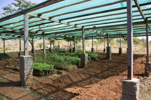 projekte_-_suedostasien_-_myanmar_-_clean_and_green_-_feld